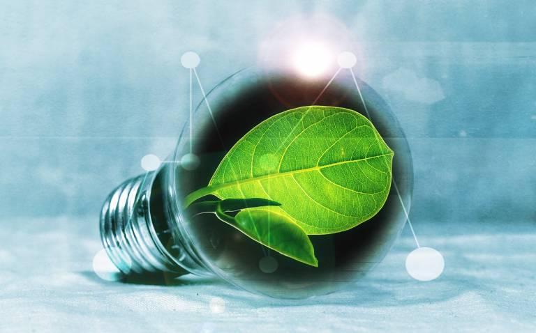 Leaves inside of light bulb.