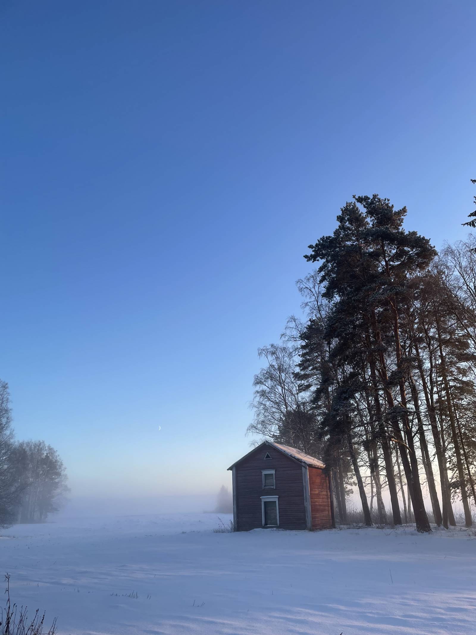 Finnish nature