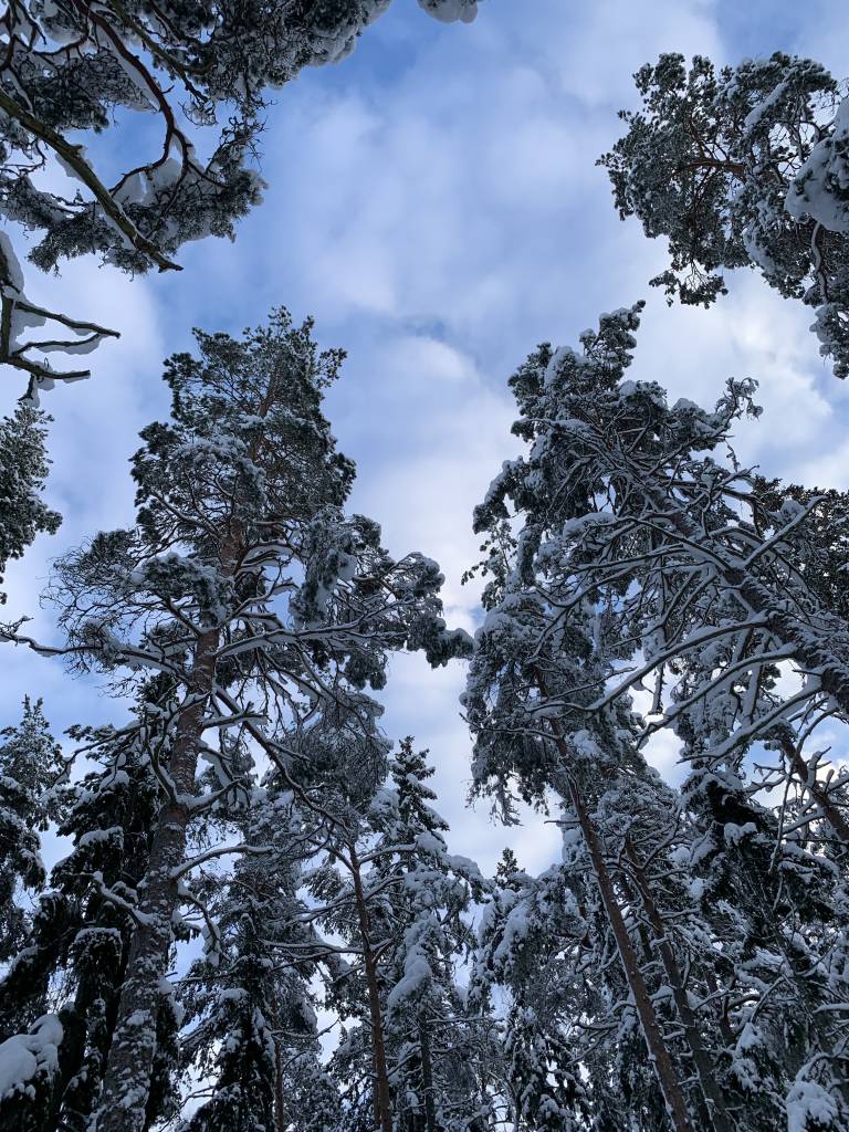 Finnish Nature