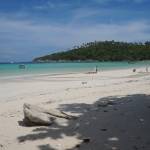 DSC01249