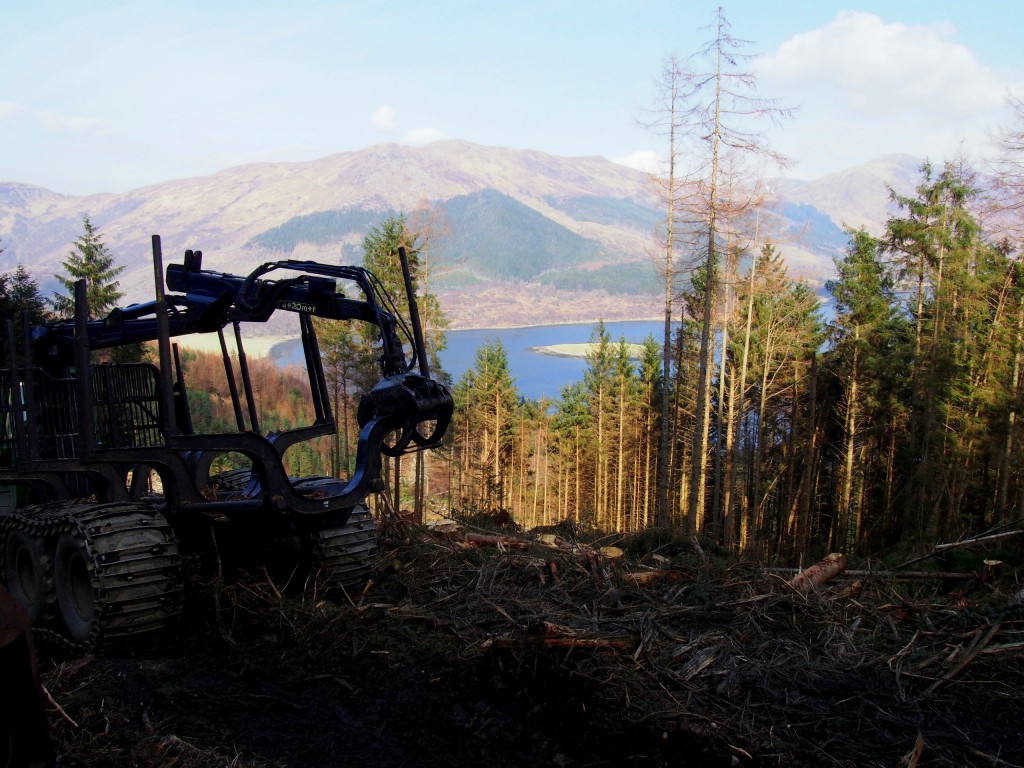 We got to see skyline harvesting operations in great heights.