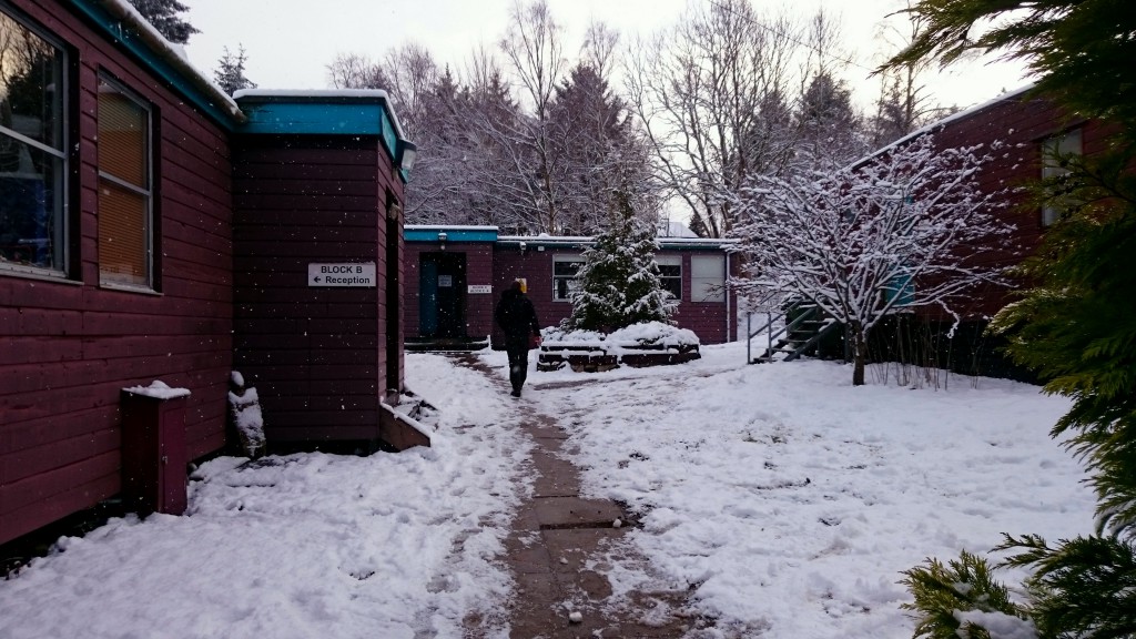 The forestry campus isn’t that fancy, but a forestry campus doesn’t have to be.
