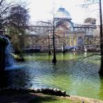 Beautiful Retiro Park
