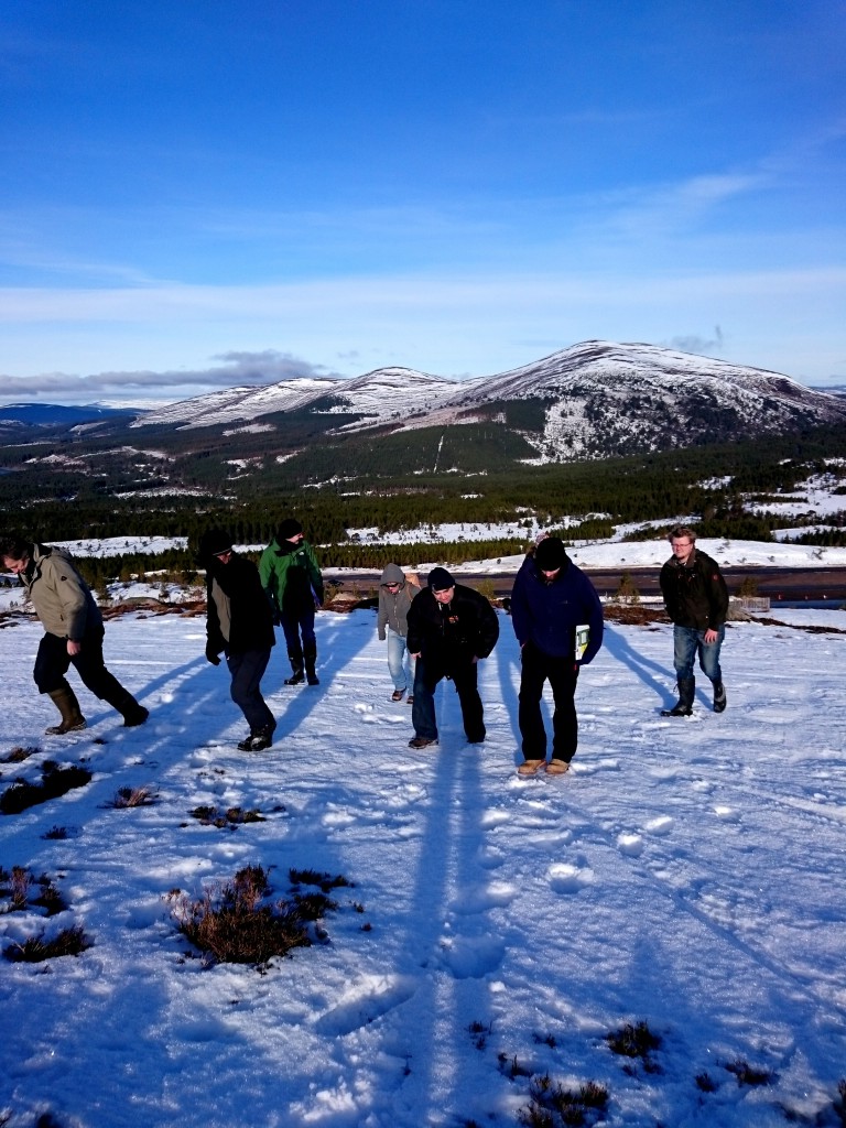 Glenmore Forest Park in Cairngorms National Park includes some of the few native pinewoods in Scotland.