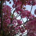WP_20150421_003
