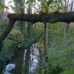 WP_20150421_002