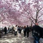 IMG_20150422_170949