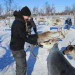 Lapland
