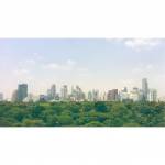Lumphini Park and Bangkok skyline