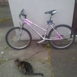 The bike will be my good friend during the three months!