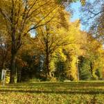 20151027_152938