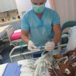 Working in hospital icu.