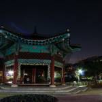IMG_3531#2
