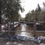 Leeuwarden in August.