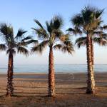Castellon2