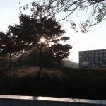 Student dorms next to Stenden.