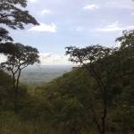 A view on the way to Mt. Mulanje 