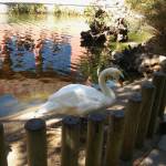 20160302_133021[1]