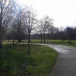 Bute Park