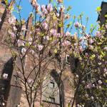 20160503_145053