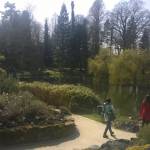 WP_20160402_020