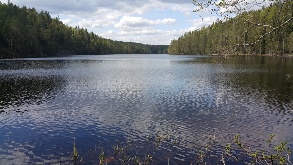 20160513_133609