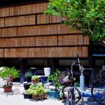 Kushida_Shrine_Fukuoka