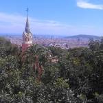 barcelona 229