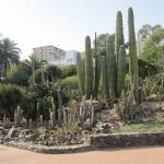 Palomapark3