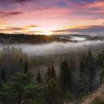 nature[1]