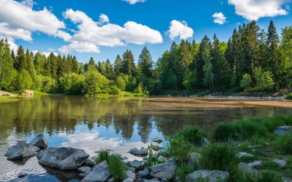 Finland---Overview---Lake-and-Forest-xlarge