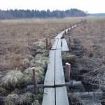 Duckboard trail in Turku, Finland