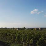 img_20161009_180343
