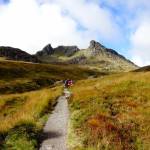 The Cobbler