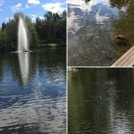Finnish nature in Tampere