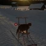 WP_20150207_005