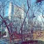 university