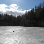 SAM_2823