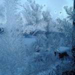 20151223_104341