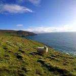 Dingle Peninsula