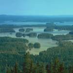 Syväri1