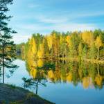 kuvalähde: http://static-sls.smf.aws.sanomacloud.net/kodinkuvalehti.fi/s3fs-public/styles/medium_main_image/public/main_media/1381225038_original_forest_istock.jpg?itok=N6KbHHxn