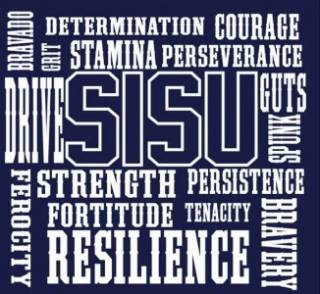 a bunch of words about sisu, grit, resilience, perseverance, and stamina