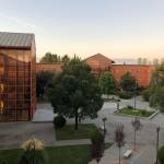 Rey Juan Carlos University