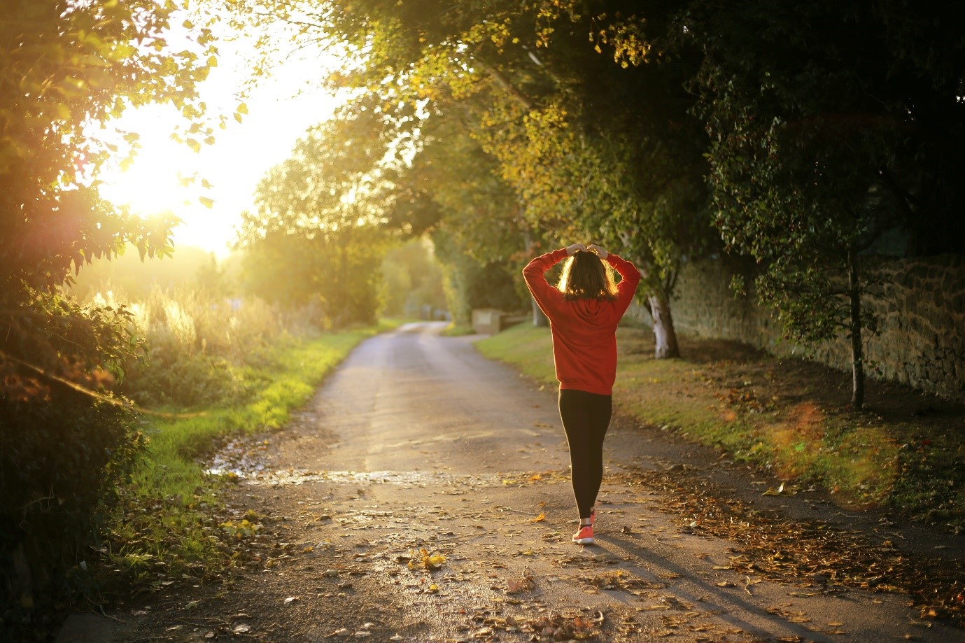 A person jogging in sunshine.