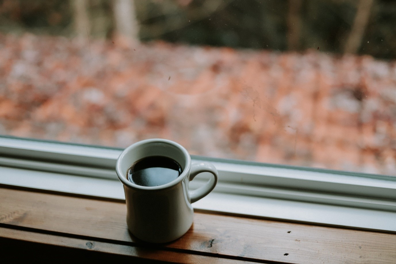 Cup of coffee.