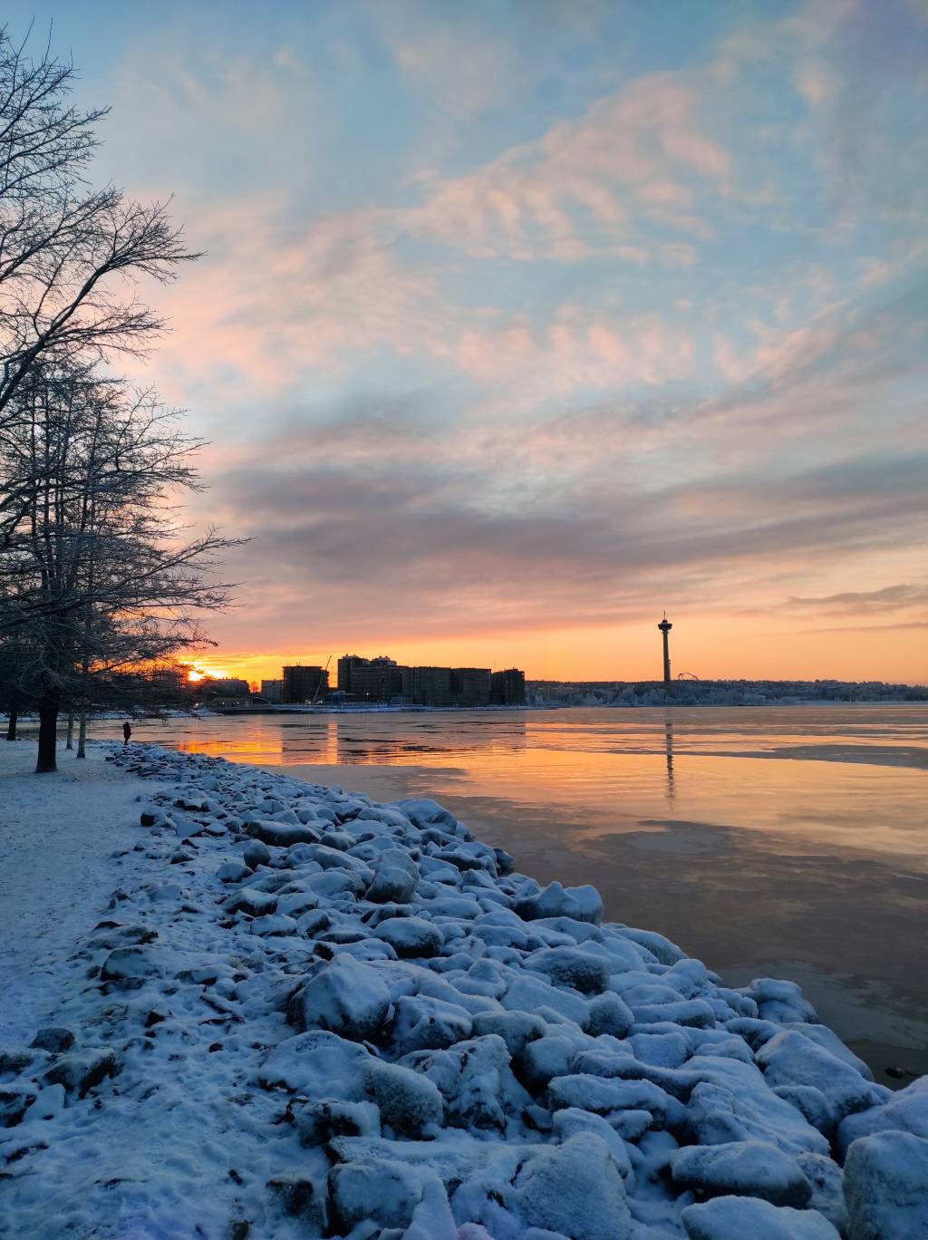 Winter Beauty