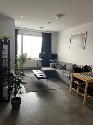 Living room with a sofa, two tables and green plants.