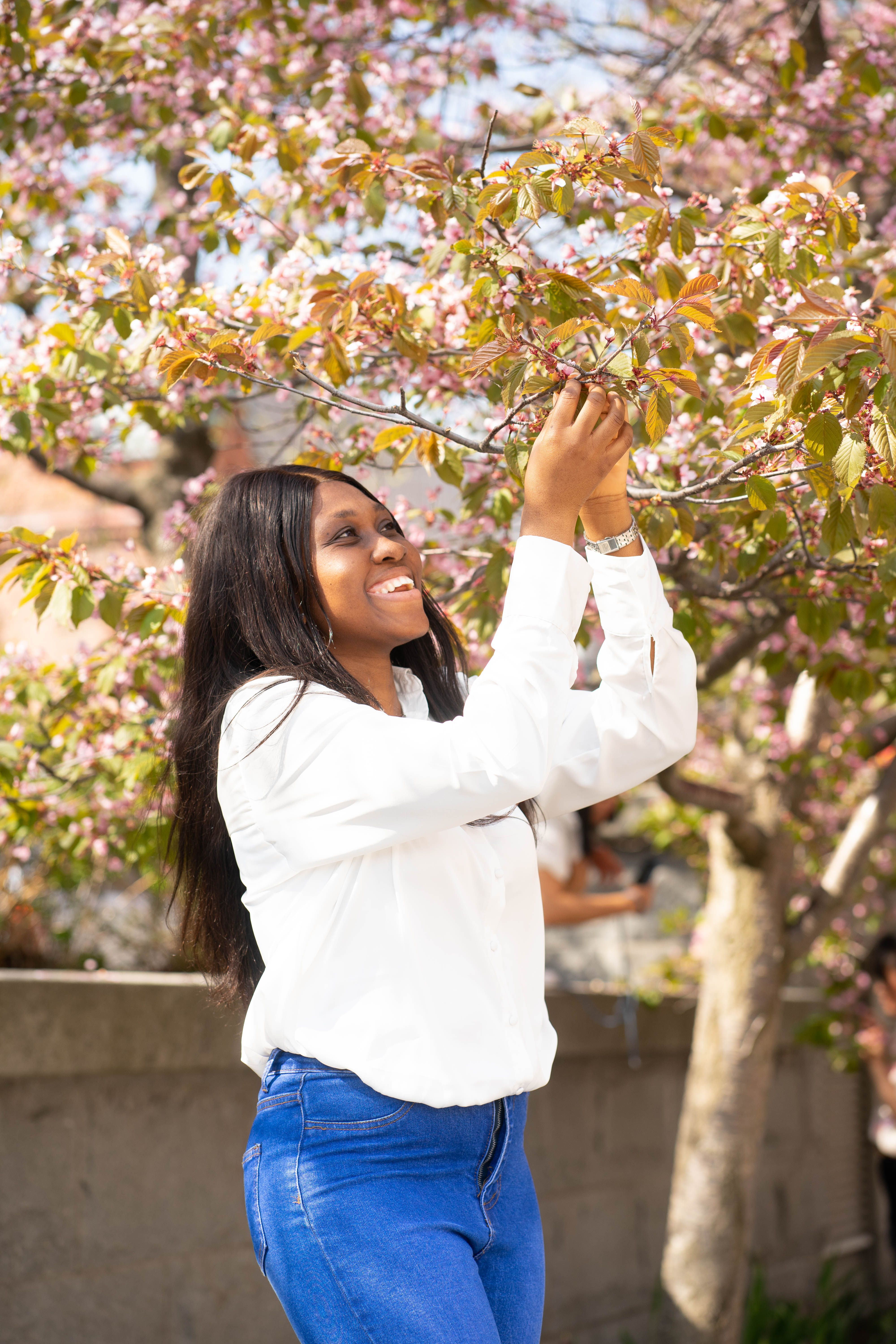 Naa adimiring a cherry tree.