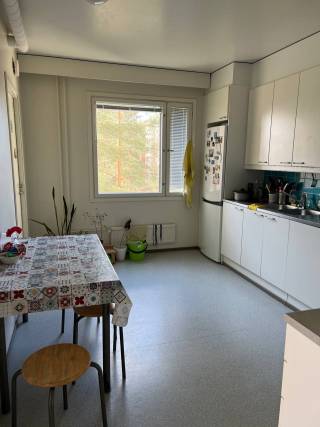 Kitchen furniture in a student apartment.